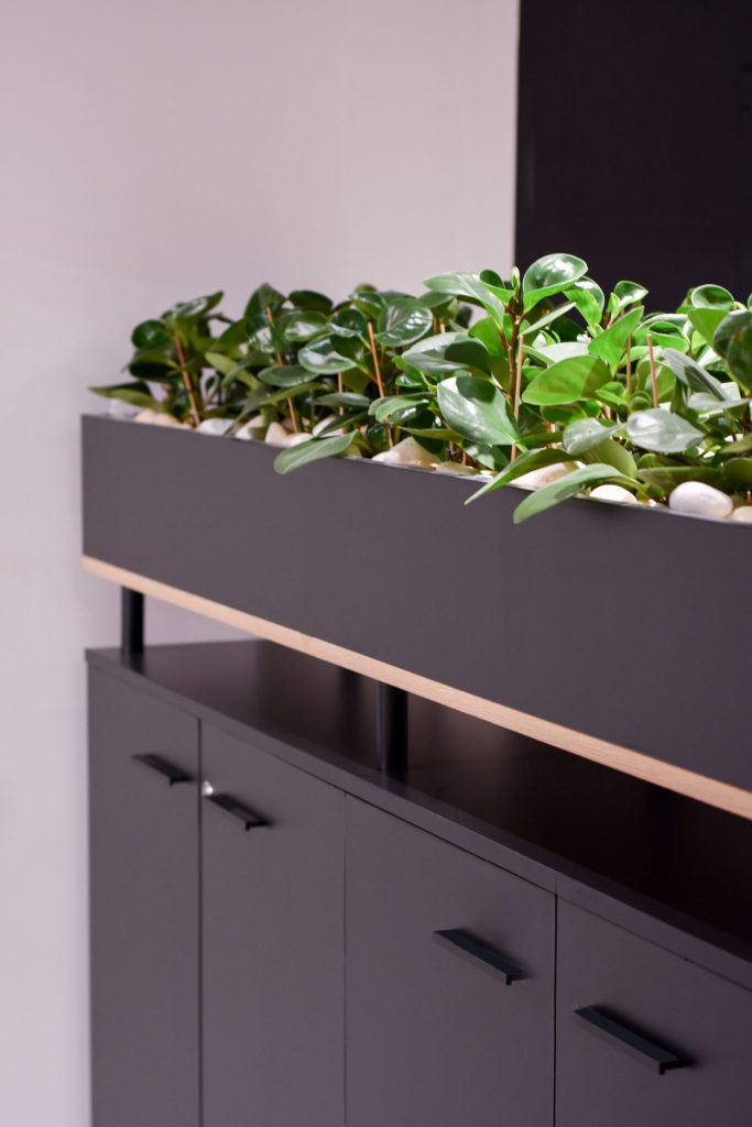 Planter Cabinet