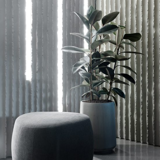 בתמונה דגם OPEL מפרויקט טייטו