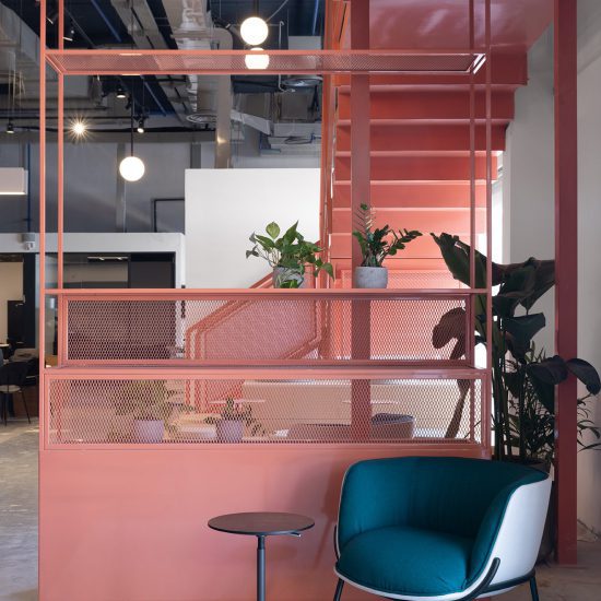 בתמונה דגם GARLIC מפרויקט TYTOCARE